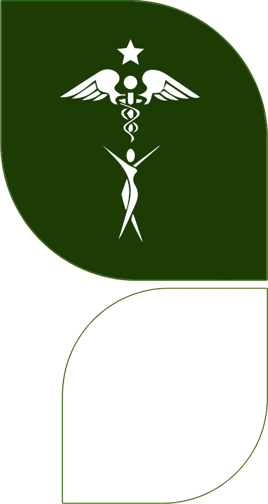 Estética
